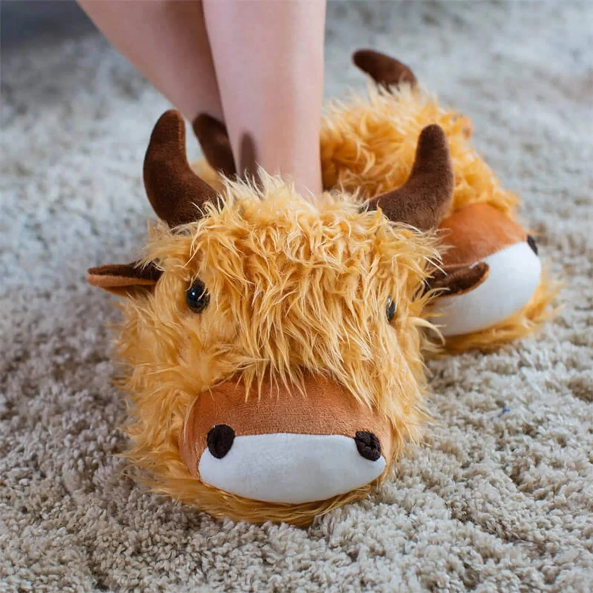 Harris The Highland Cow Novelty 3D Slippers