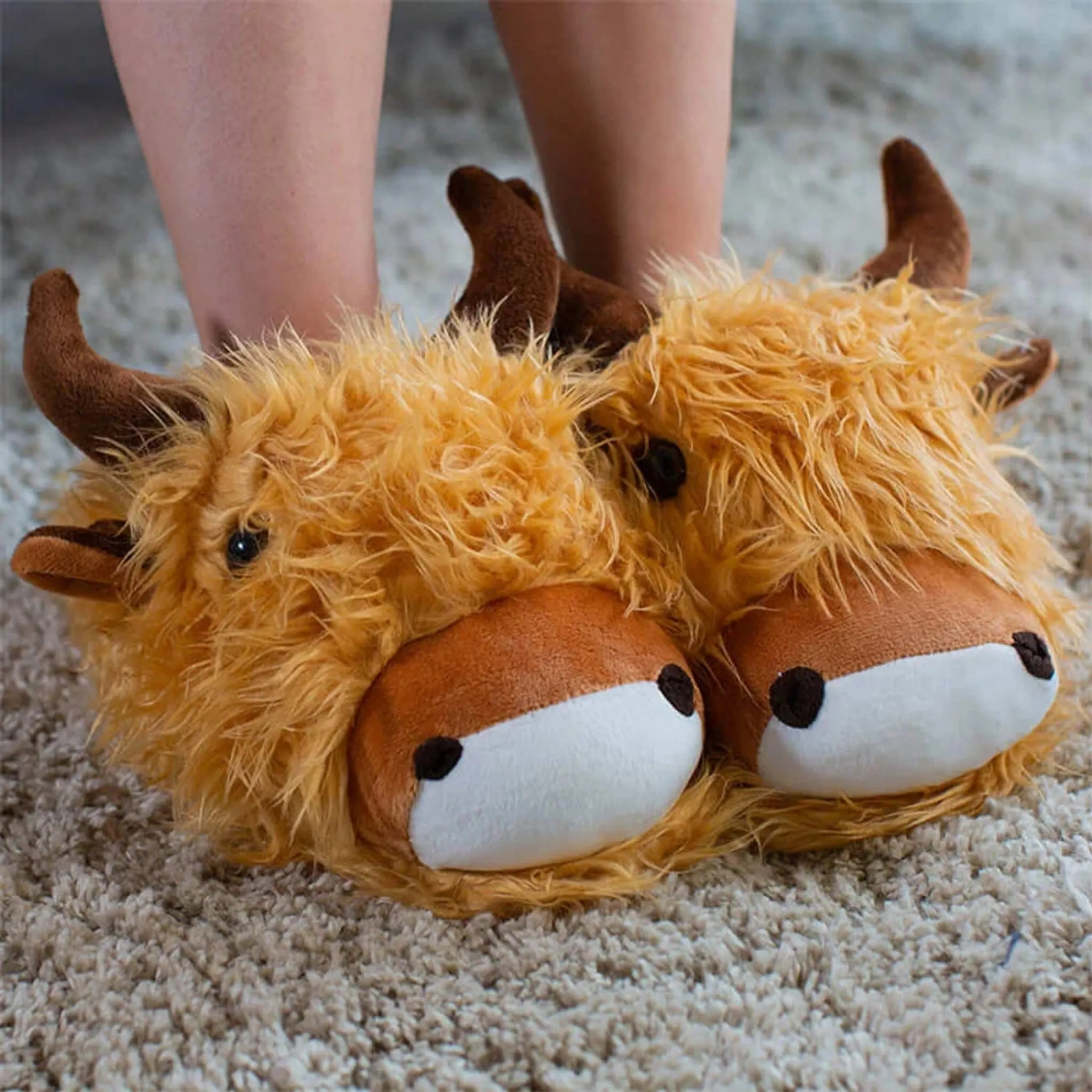 Harris The Highland Cow Novelty 3D Slippers